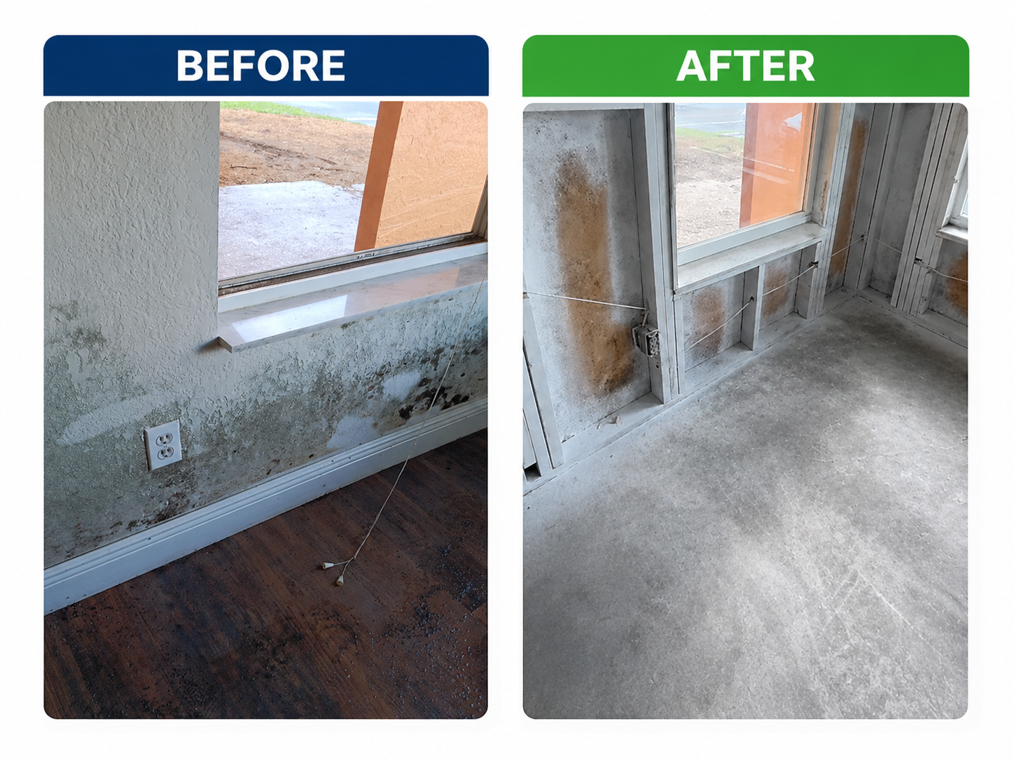 Mold Remediation — before and after
